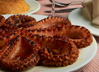 pulpo